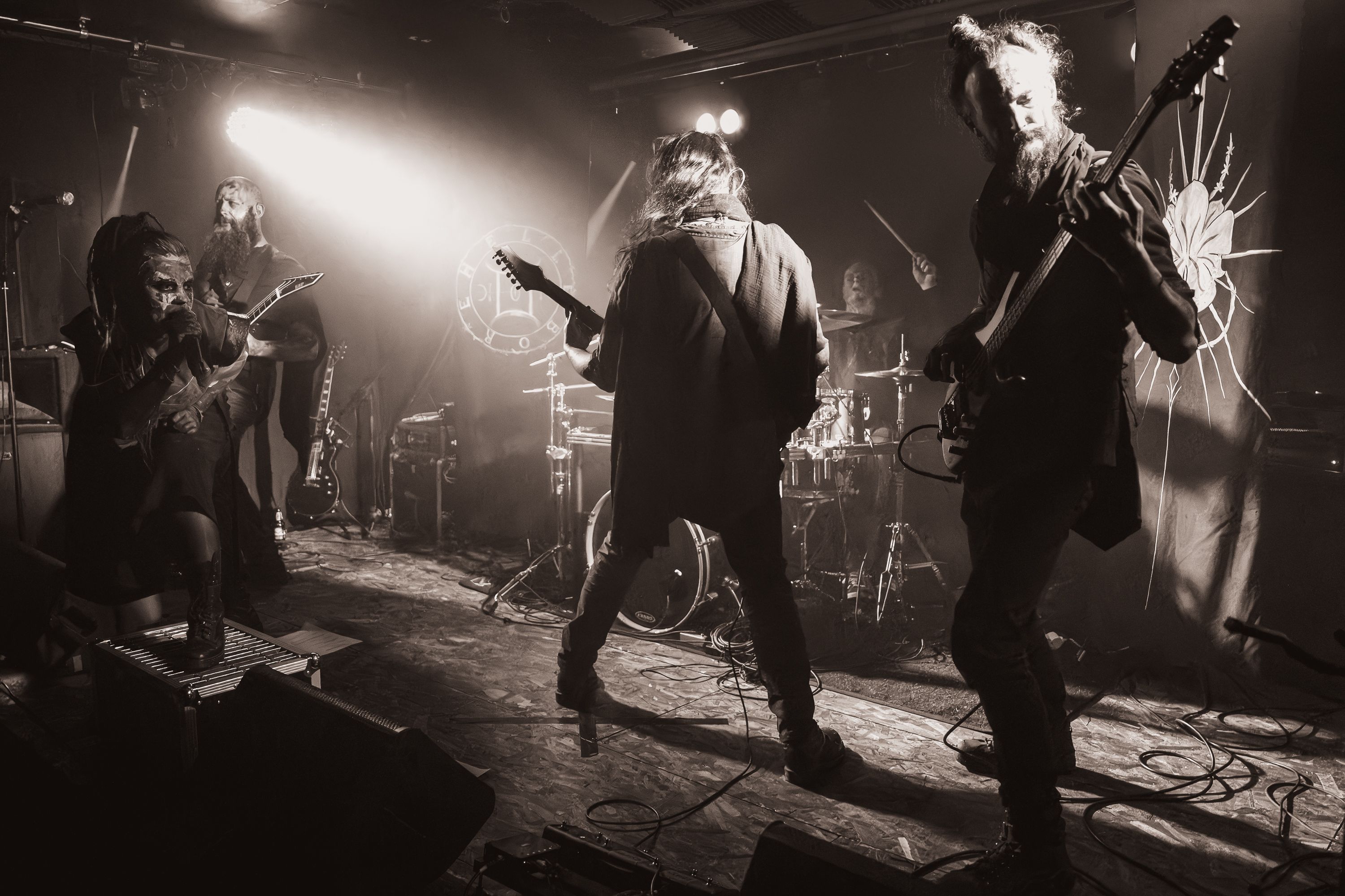 Hellebore live